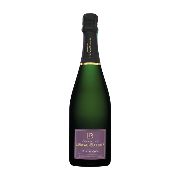 TERRE DE PINOTS BLANC DE NOIRS